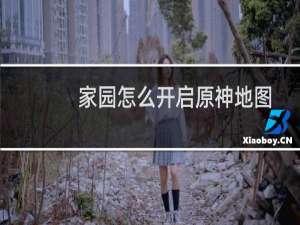 家园怎么开启原神地图