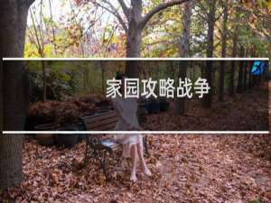 家园攻略战争