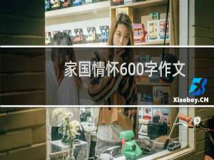 家国情怀600字作文