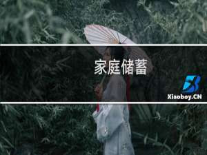家庭储蓄