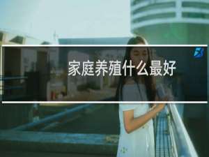 家庭养殖什么最好
