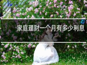 家庭理财一个月有多少利息