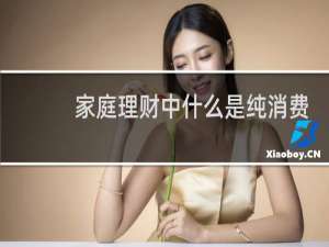 家庭理财中什么是纯消费