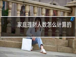 家庭理财人数怎么计算的