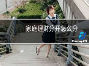 家庭理财分开怎么分