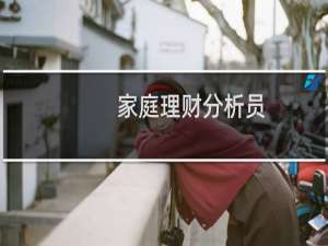 家庭理财分析员