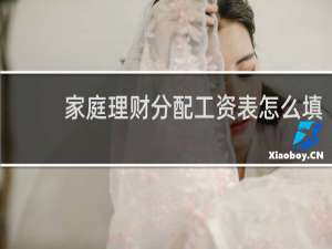家庭理财分配工资表怎么填