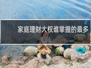 家庭理财大权谁掌握的最多
