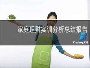 家庭理财实训分析总结报告