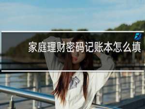家庭理财密码记账本怎么填
