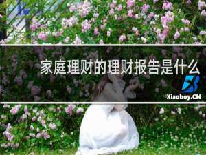 家庭理财的理财报告是什么