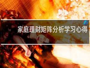家庭理财矩阵分析学习心得