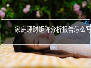家庭理财矩阵分析报告怎么写