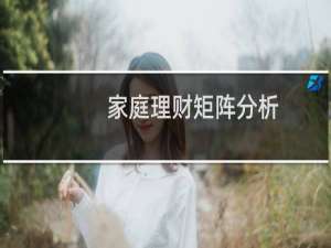 家庭理财矩阵分析