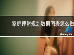 家庭理财规划数据图表怎么做