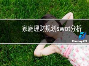 家庭理财规划swot分析