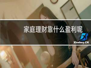 家庭理财靠什么盈利呢