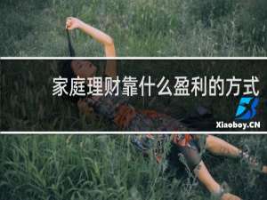 家庭理财靠什么盈利的方式