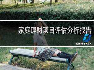 家庭理财项目评估分析报告