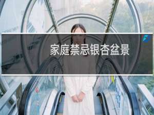 家庭禁忌银杏盆景