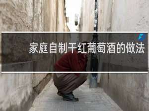 家庭自制干红葡萄酒的做法
