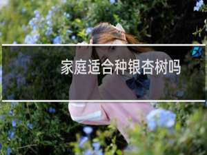 家庭适合种银杏树吗