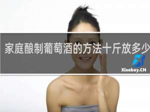 家庭酿制葡萄酒的方法十斤放多少白糖