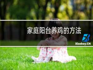 家庭阳台养鸡的方法