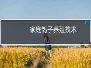 家庭鸽子养殖技术