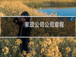 家政公司公司章程