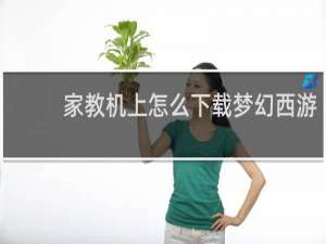 家教机上怎么下载梦幻西游
