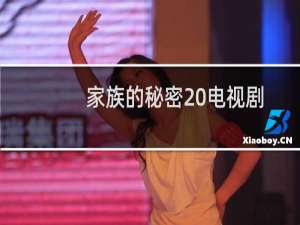 家族的秘密 电视剧