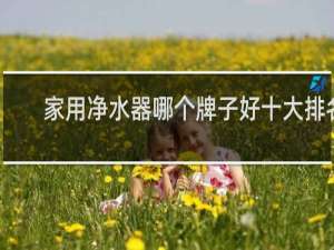 家用净水器哪个牌子好十大排名