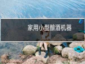 家用小型酿酒机器