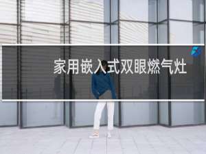 家用嵌入式双眼燃气灶