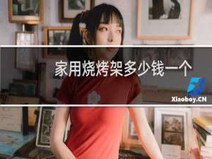 家用烧烤架多少钱一个