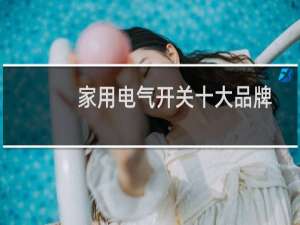 家用电气开关十大品牌