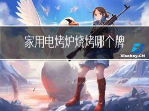 家用电烤炉烧烤哪个牌子好