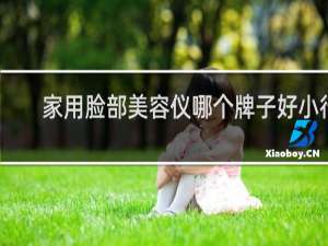 家用脸部美容仪哪个牌子好小行