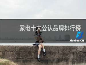 家电十大公认品牌排行榜