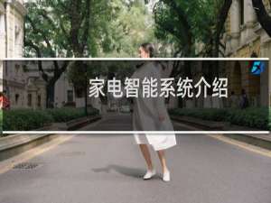 家电智能系统介绍
