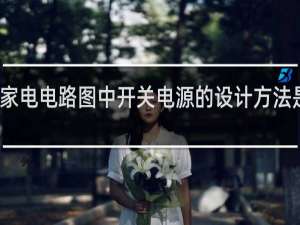 家电电路图中开关电源的设计方法是什么