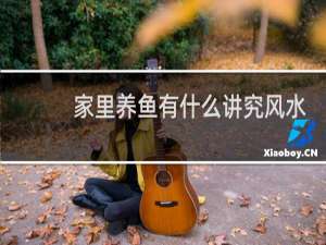 家里养鱼有什么讲究风水
