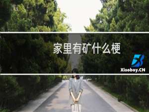 家里有矿什么梗