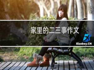 家里的二三事作文