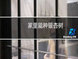 家里能种银杏树