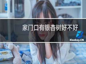 家门口有银杏树好不好