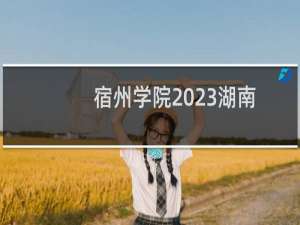 宿州学院2023湖南省普通本科批艺术类平行组录取