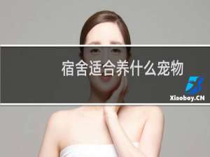 宿舍适合养什么宠物