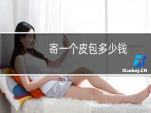 寄一个皮包多少钱